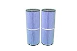 FIT: Pool/spa (2) Pack C4950RA UNICEL C-4950RA PLEATCO PRB50-IN-M FC-2390M