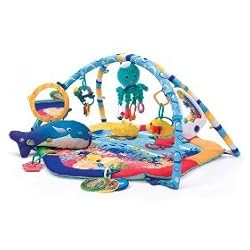 Baby Einstein Baby Neptune Ocean Adventure Gym