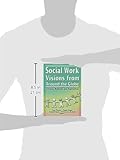 Social Work Visions from Around the Globe: Citizens, Methods, and Approaches (The Social Work in Health Care Series)