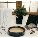 Bonsai Boy's Starter Kit<br>Make Your Own Bonsai Tree