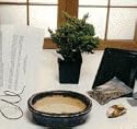 Bonsai Boy's Starter Kit<br>Make Your Own Bonsai Tree