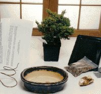 Bonsai Boy\'s Starter Kit<br>Make Your Own Bonsai Tree