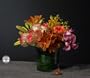 Orchid - A Foison