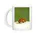 FEU-511 7-Spot Ladybird on White Flower laying eggs Photo Mugs