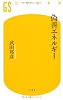 偽善エネルギー (幻冬舎新書)