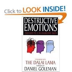 Destructive Emotions: A Dialogue with the Dalai Lama (Mind and life series)