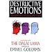 Destructive Emotions: A Dialogue with the Dalai Lama (Mind and life series)