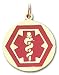 14k Yellow Gold Circle Medical Alert Pendant title=