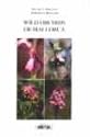 Wild Orchids of Mallorca