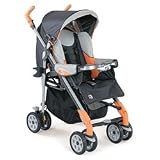 Chicco C1 Stroller Pattern: Iceberg