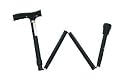 folding walking stick