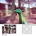Cokin P185 Filter, P, Radial Zoom