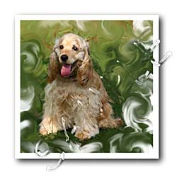image link - - B002I8JHZQ
