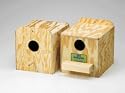 Parakeet Nest Box, Regular