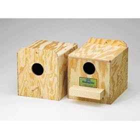 Parakeet Nest Box, Regular by Ware Manufacturing
