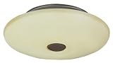 31HLcaa0hTL. SL160  American Fluorescent MMC170RBE6T Momentum Large Flush Mount, ORB Tea Stain