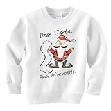 Santa Define Naughty Holiday Sweatshirt