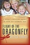 Flight of the Dragonfly