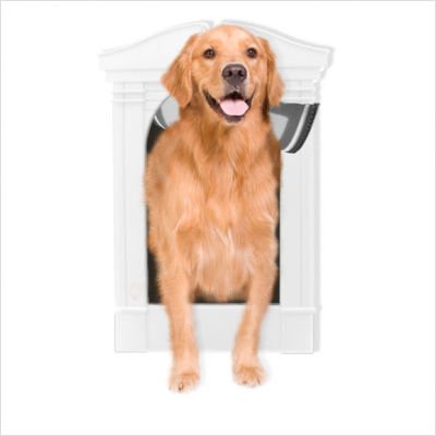 Sherbet Alley Deluxe Pet Portal in White Size: Small