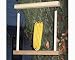 Pet Supplies : Flying Trapeze