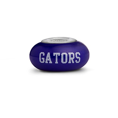 Florida Gators Small Glass Bead Fits All Beaded Bracelets