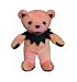 Lil Grateful Dead Bean Bear Collectibles (Lil Sugar) Image