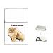 pomeranian3 - Pomeranian Flip Top Lighter