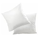 LOT DE 2 OREILLERS MICROFIBRE 60X60CMpar No Name