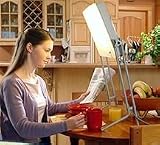 Day-Light S.A.D. Lamp