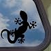 Gecko Lizards Black Decal Car Truck Bumper Window Sticker