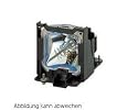 Replacement Lamp for Pt AE900U Projector