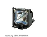 Replacement Lamp for Pt AE900U Projector