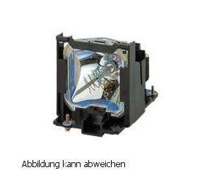 Replacement Lamp for Pt AE900U Projector