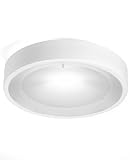 T-2701 Star Flushmount - white, Fluor. w/electr. ballast, 220 - 240V (for use in Australia, Europe, Hong Kong etc.)