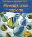 Vidrio