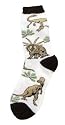 Dinosaur Walk Socks