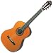 Washburn Classical Series Acoustic