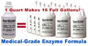 SporiCLEAN: The GREEN Enzyme Cleaner