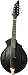 BreedloveBlack Gold Mandolin, Made in U.S.A.