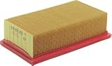 Kaercher Flachfaltenfilter Eco