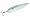 Chartreuse Shad