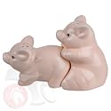Salz und Pfeffer Streuer Schwein Erotik Sex Salzstreuer Fun