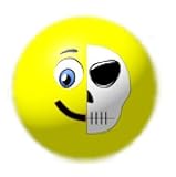 Emoji Inflatable Beach Balls - 5 Inch Half Skull Face Emoji Ball - 1 Count