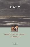 Storm: A Motorcycle Journey of Love, Endurance and Transformation (Travelers' Tales Footsteps)