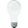 GE Lighting 72549 60-Watt Rough Service Frost A-Line Light Bulb, 2-Pack