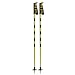 Line Pin Ski Poles 2010