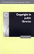 Copyright in Public Libraries (The Library Association copyright guides)