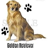 Golden Retriever Adult Long Sleeve T-Shirt