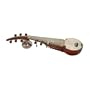 Sarod, Basic Model