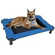 Pet Gear Portable Cot for cats and dogs up to 50-pounds, Blue Sky